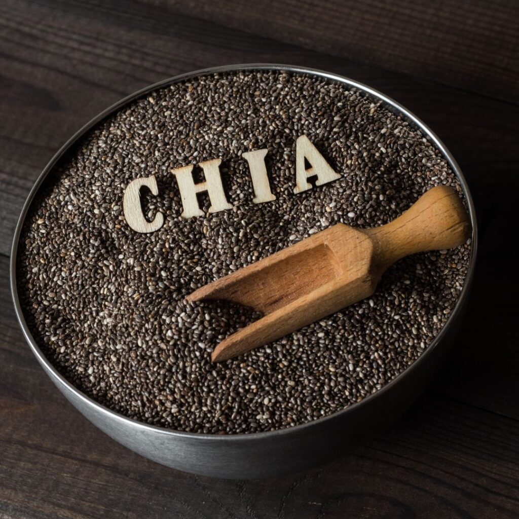 Chia Seed Research and Innovation: Exploring Nature's Tiny Nutritional Marvel