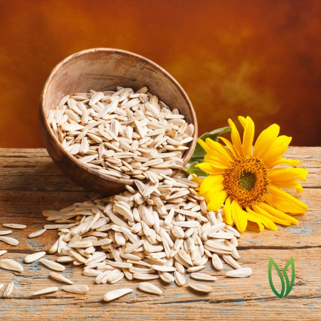 The Remarkable Benefits of Vitamin E