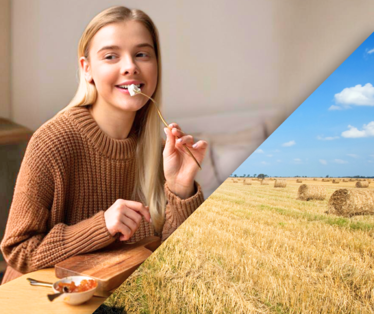 Planting Teff: a crop you can trust